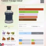 100ml - vamos Voyage  Elixir